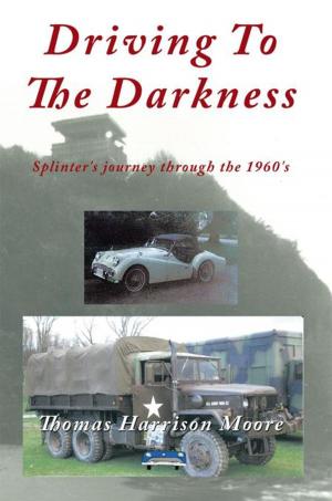 Book cover of Driving to the Darkness