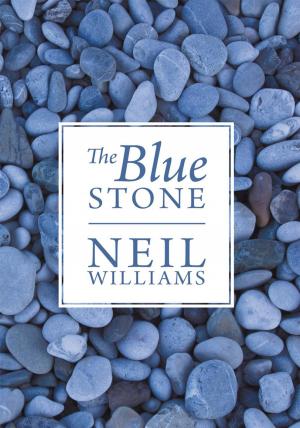 Cover of the book The Blue Stone by Martin Henley