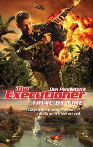 Cover of the book Trial by Fire by Don Pendleton