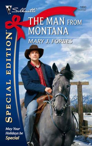 Cover of the book The Man from Montana by Carmen Green