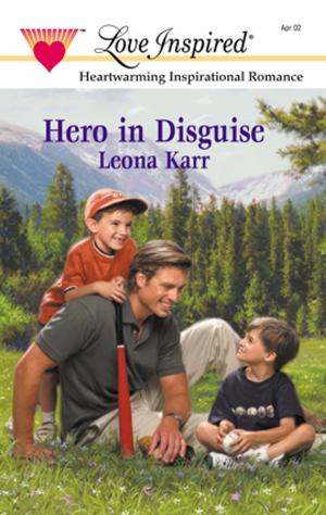 Book cover of HERO IN DISGUISE