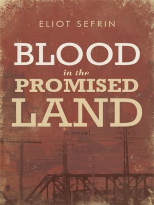 Cover of the book Blood in the Promised Land by Michael Cantwell