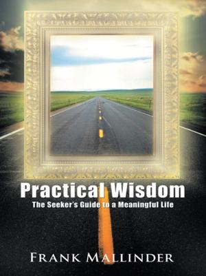 Cover of the book Practical Wisdom by Ciara Mucci