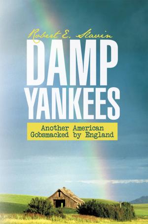 Cover of the book Damp Yankees by Patrick C. Okoye