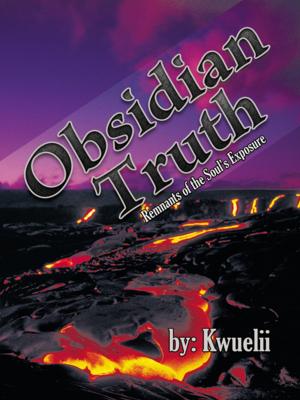 Cover of the book Obsidian Truth by Warren Stuckey