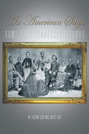 Cover of the book An American Saga by Nicky Hindmarsh