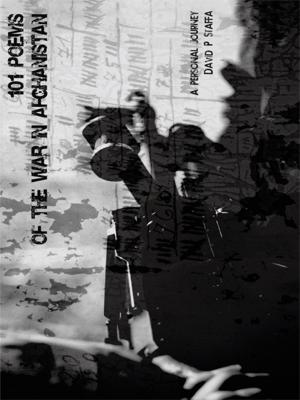 Cover of the book 101 Poems of the War in Afghanistan by The Derrick Terrill Project