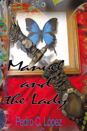 Cover of the book Manuel and the Lady by Jim Street