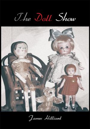 Cover of the book The Doll Show by Phil D’Agostino MEd LPC-NC