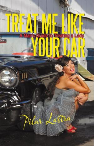 Cover of the book Treat Me Like Your Car by Joe Delta