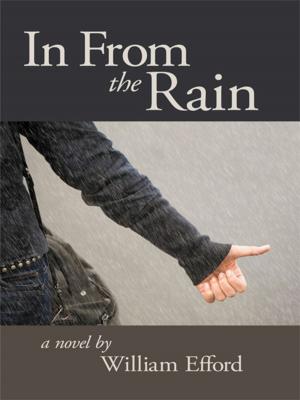 Cover of the book In from the Rain by Andy Feld