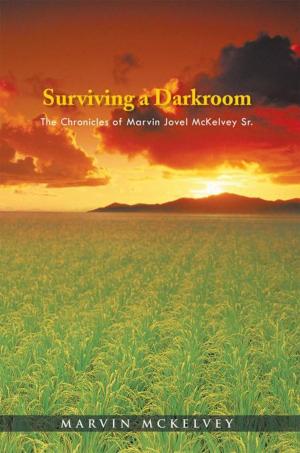 Cover of the book Surviving a Darkroom by Paul McKellips