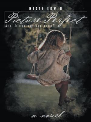 Cover of the book Picture Perfect by Beth Lindsay Templeton