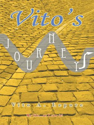 Cover of the book Vito’S Journey by Janice Mock