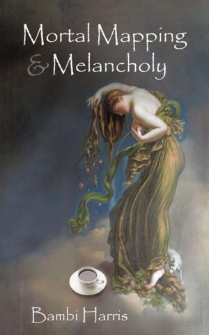 Book cover of Mortal Mapping and Melancholy