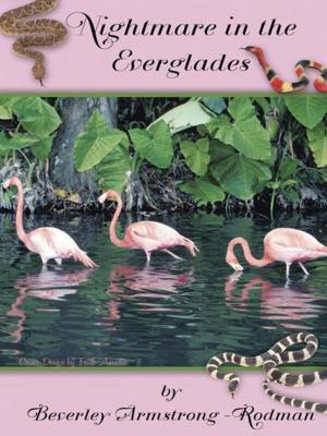 Cover of the book Nightmare in the Everglades by Dan Martin