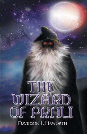 Cover of the book The Wizard of Prali by Robert P. Parker PhD
