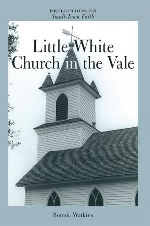 Cover of the book Little White Church in the Vale by Stephen W. Hoag