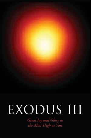 Cover of the book Exodus Iii by Anthony Okwudili Achunonu