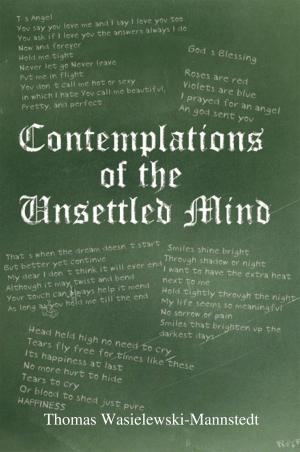 Cover of the book Contemplations of the Unsettled Mind by Richard Moskowitz