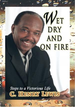 Cover of the book Wet Dry and on Fire by Nicolás Ramos López