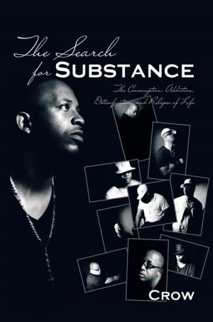 Cover of the book The Search for Substance by Cheryl Gee Hogan
