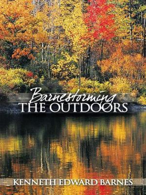 Cover of the book Barnestorming the Outdoors by MSE. Dzirasa