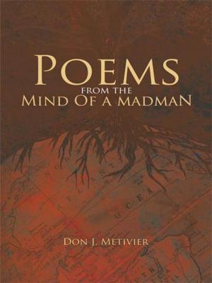 Cover of the book Poems from the Mind of a Madman by George Rapitis MS. Nutritionist