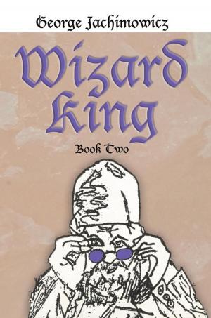 Cover of the book Wizard King by Dr. Anne R. Murray Ed.D.