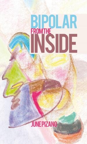 Cover of the book Bipolar from the Inside by Jennifer L. Kane