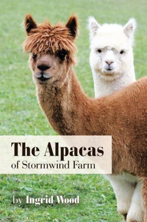 Book cover of The Alpacas of Stormwind Farm