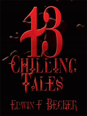 Cover of the book 13 Chilling Tales by Stephan A. Dzerovych