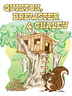 Cover of the book Quinton, Brewster & Chaley by Daniel Omizu Ojadua