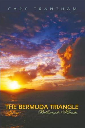 Cover of the book The Bermuda Triangle by Marvin R. Mednick