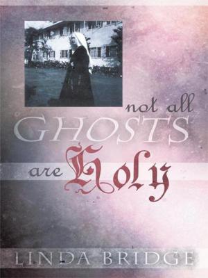 Cover of the book Not All Ghosts Are Holy by Emily Allen Garland