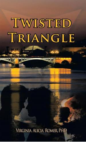 Cover of the book Twisted Triangle by Donna Mainor