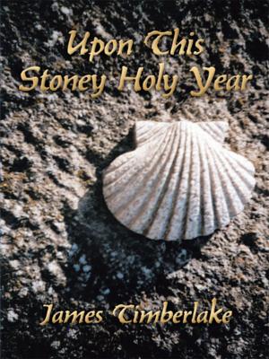 Cover of the book Upon This Stoney Holy Year by Roger White