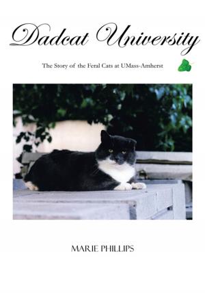 Cover of the book Dadcat University by Mark Henry Miller