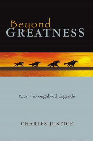 Book cover of Beyond Greatness