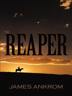 Cover of the book The Reaper by Christopher Ridge