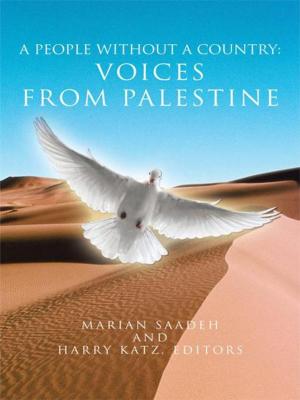 Cover of the book A People Without a Country: Voices from Palestine by Terry Dennis