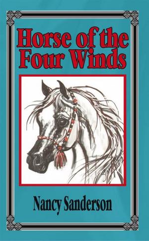 Cover of the book Horse of the Four Winds by D.N. Greenwald