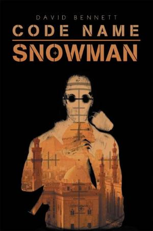 Cover of the book Code Name Snowman by Kim Ward