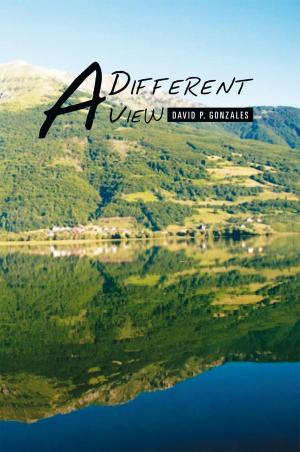 Cover of the book A Different View by Dustin Feyder