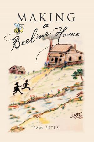Cover of the book Making a Beeline Home by Paul Vivian