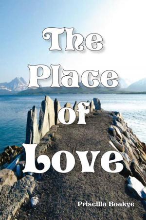Cover of the book The Place of Love by Derek Crisp