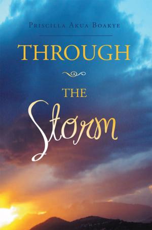 Cover of the book Through the Storm by V K Leigh