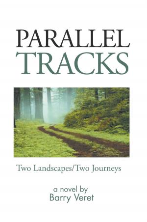 bigCover of the book Parallel Tracks by 