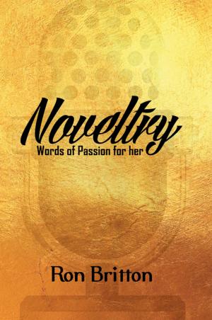 Cover of the book Noveltry by Barnett Zumoff