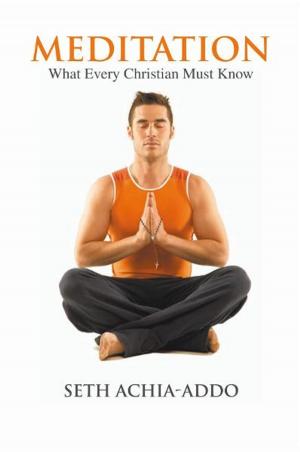 Cover of the book Meditation by Craig Verster